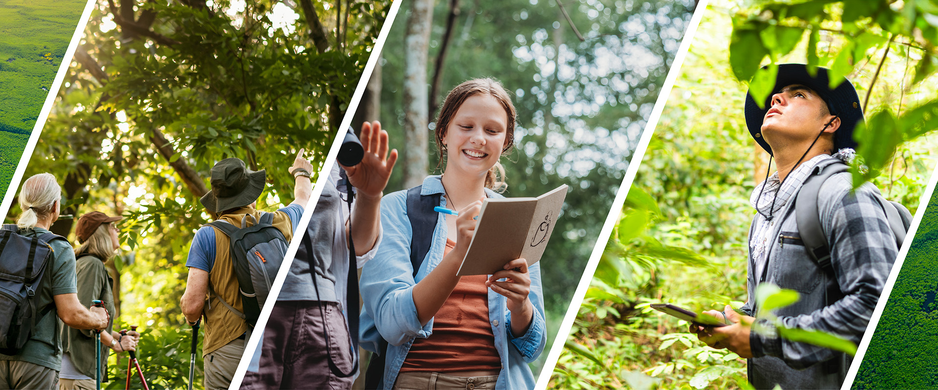 Global Conservation Leadership (Tourism and Forestry)
