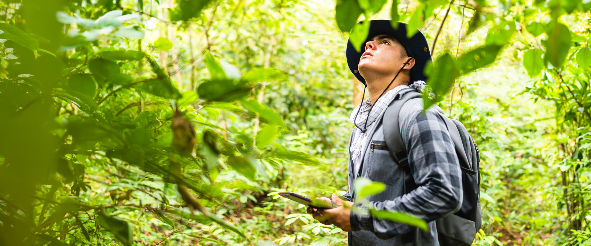Forestry and Carbon Project Fundamentals